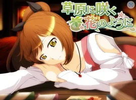 【日系RPG/AI汉化】就像草地上盛开的花朵1.0【PC+安卓/692M】-IS