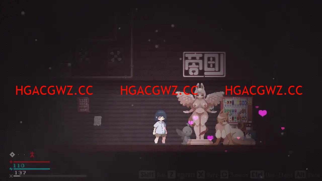 16051354575 16051354575
